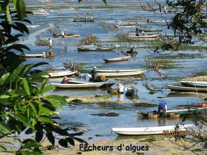 Contrairement à ce qui est écrit sur les brochures, les plages ne sont pas super à Bali ! - quinqua voyageuse