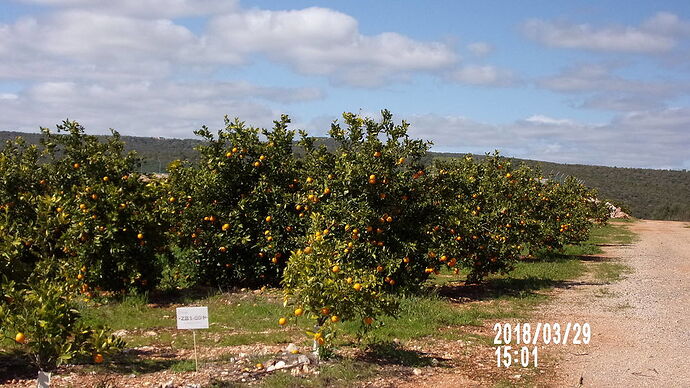 Re: Soleil de Février au Portugal 2018 - soleilen62