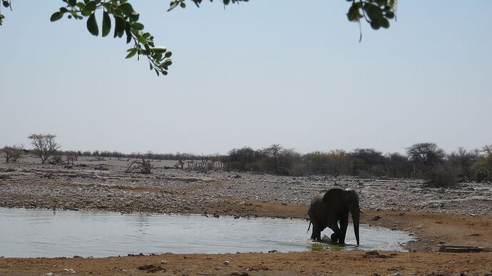 Re: NAMBOTSVIC Namibie- Botswana- Victoria Falls, 3 semaines magiques - PATOUTAILLE