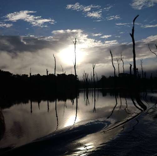 3 semaines en Guyane - paly1