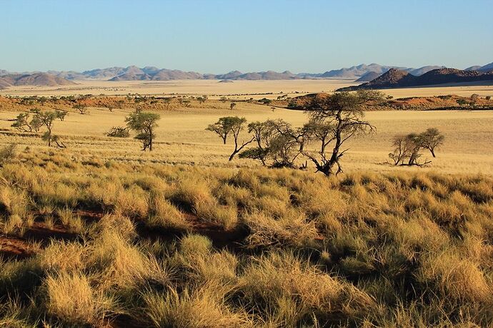 Re: Choix matériel photo pour la Namibie - puma