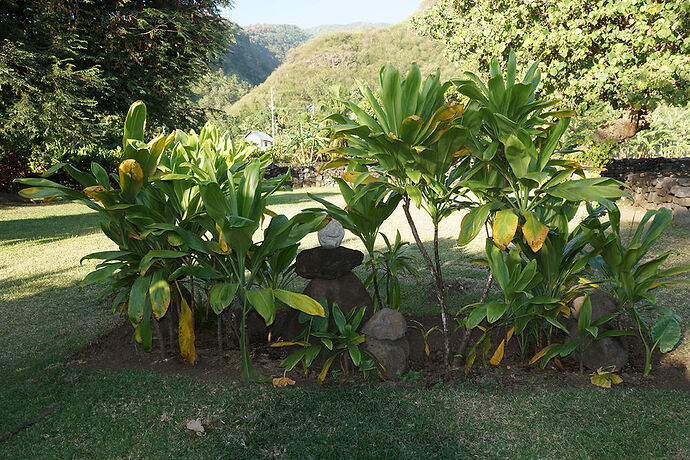 Découverte de la cote Ouest de Tahiti - cartesien