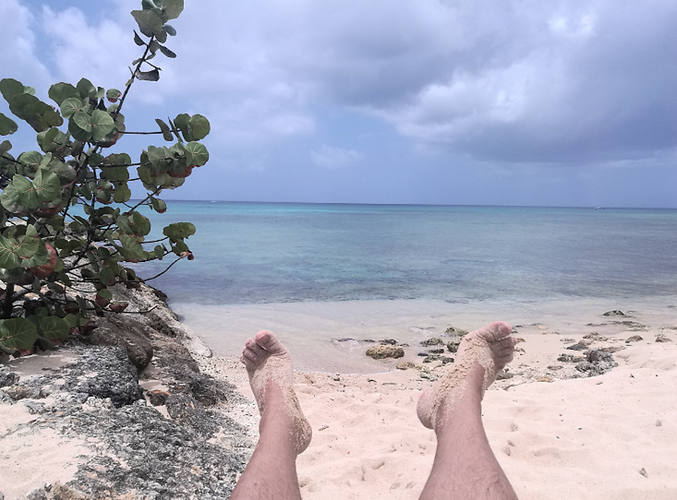 Re: Sargasses Guadeloupe  - Frederic-Maillot