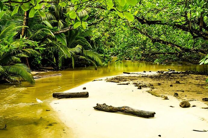 COSTA RICA LE PARADIS POUR LES AMOUREUX DE LA NATURE - anaisgaujat