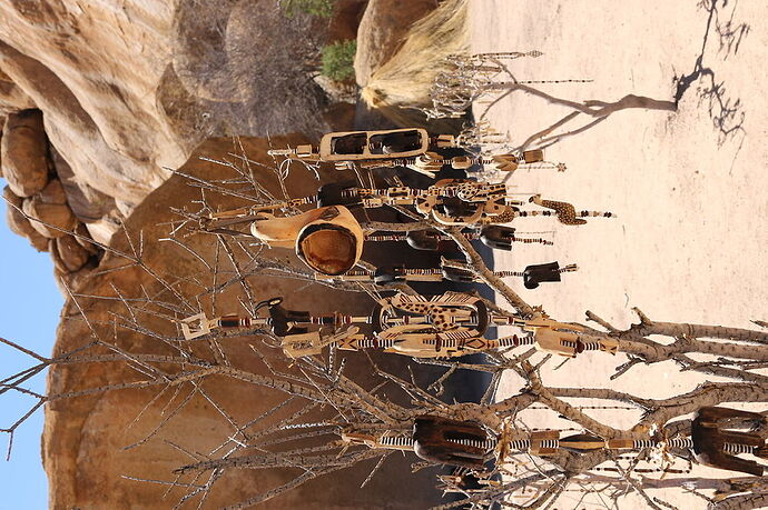 Re: La Namibie en mode tortue - Cathyves