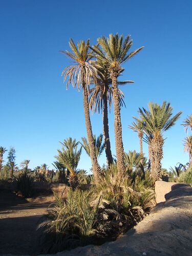 Re: Au retour de notre voyage en famille dans le sud du Maroc  - Kelyah