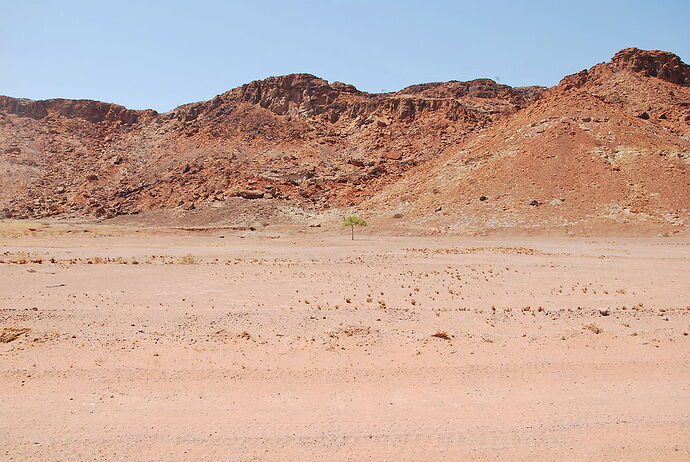 J7 en route pour Brandberg White Lady Lodge - llce