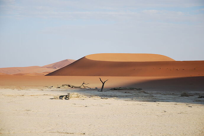 J14 - Dead vlei, Sossusvlei, Tsaris Mountains - llce