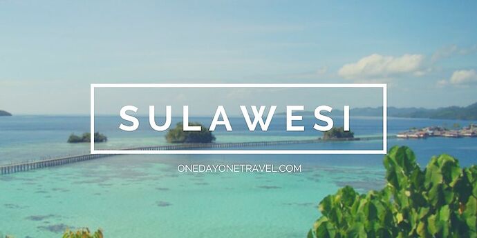 Et pourquoi pas Sulawesi ? - asquarii