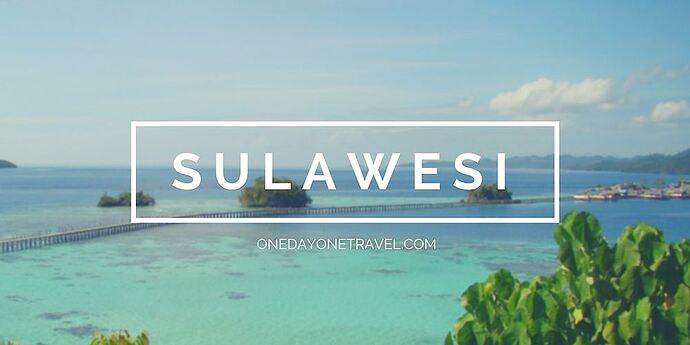 Et pourquoi pas Sulawesi ? - asquarii Et pourquoi pas Sulawesi ? - asquarii