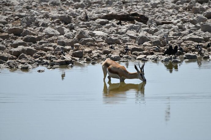 Re: Namibie - 15 jours en octobre 2018 - pascal41lc