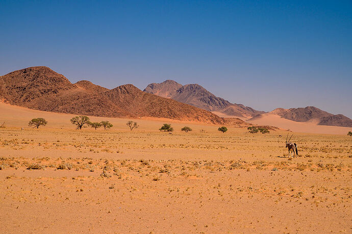 Lundi 5 Août – A travers le Namib - darth