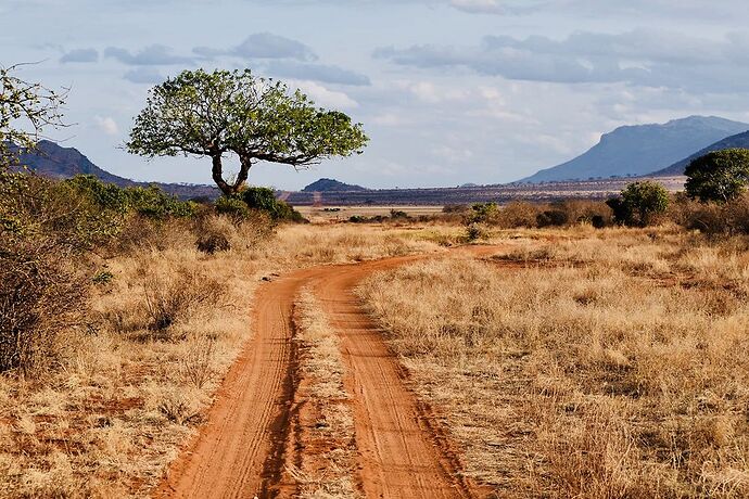 Un rêve de réalisé , merci Kenya et MERCI WALTZ TOURS SAFARIS - Laura-Plp