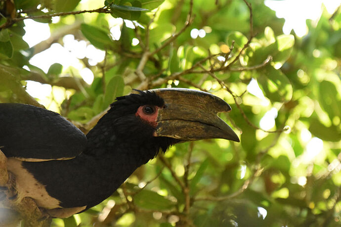 Re: Au paradis ! Compte rendu d'un voyage de 2 petites semaines en Afrique du Sud - L-argonnais Re: Au paradis ! Compte rendu d'un voyage de 2 petites semaines en Afrique du Sud - L-argonnais