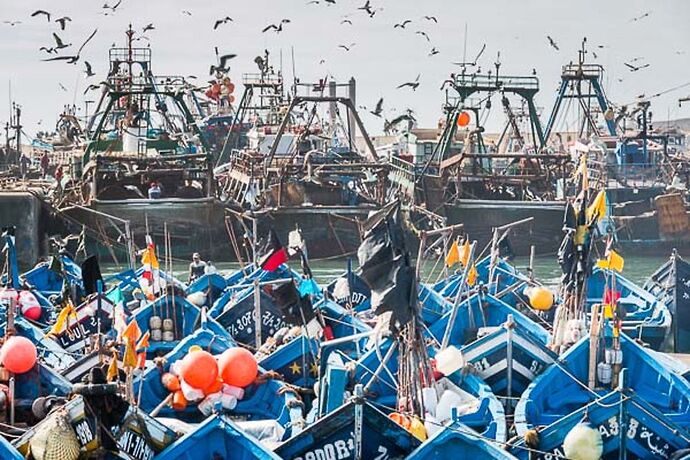 5 jours à Essaouira, une des perles de l'Atlantique, récit et photos - Sonia-Fatima Chaoui