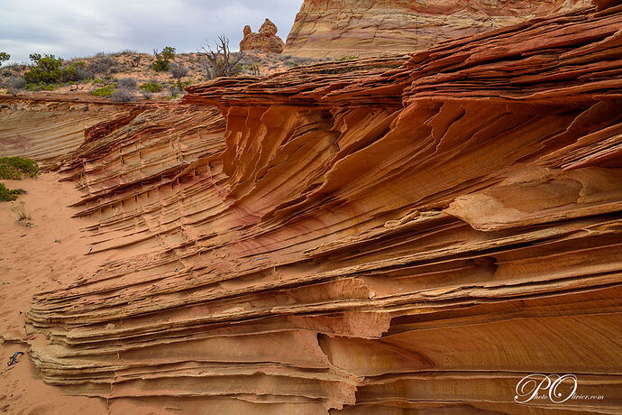 South Coyote Buttes - darth