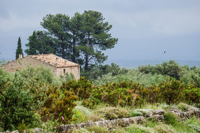 Conseils de visite en Catalogne - stephanie-itiphoto