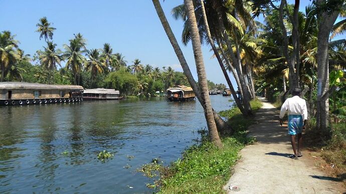 Ne pas manquer les Backwaters ! - quinqua voyageuse