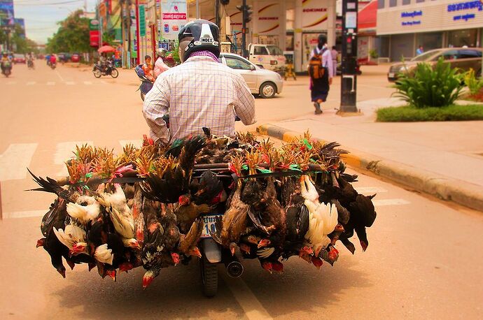 Bonjour Onigi - IzA-Cambodia