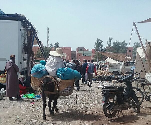 Re: Trois semaines en avril au Maroc  - trostang