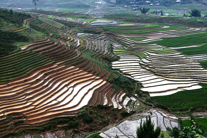 Re: Dernièes nouvelles de Sapa - Abalone_vn