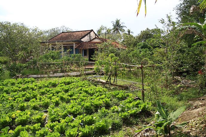 18 jours au Vietnam du Nord au sud, janvier 2018, suite bis - lolotte34