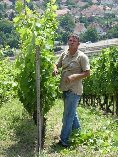 TOKAJ, l'un des meilleurs vins du monde à 2h30 de Budapest - titimathi