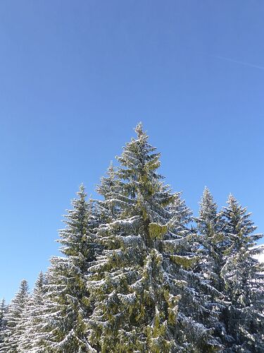 Re: Carnet de voyage une semaine au ski aux Contamines-Montjoie - Fecampois