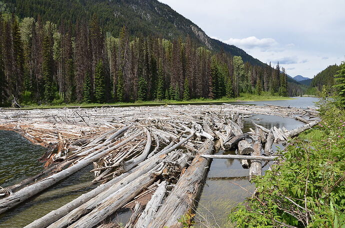 L'Ouest canadien à pleins poumons: épisode 2, l'Okanagan et la route vers la côté, via Whistler - fabienne65