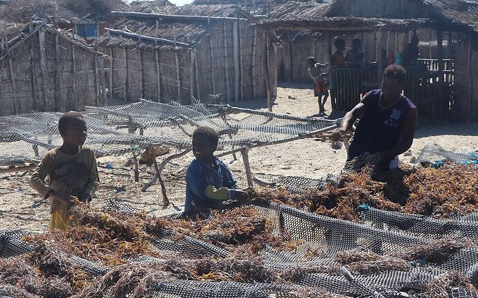 Re: Côte ouest de Tuléar à Morondava - worlder56