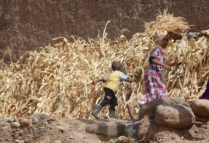 Re: Retour circuit Sud Maroc 10 jours en mars : Marrakech - Ouarzazate - Skoura - Merzouga - Taroudant - Essaouira - vi-olette Re: Retour circuit Sud Maroc 10 jours en mars : Marrakech - Ouarzazate - Skoura - Merzouga - Taroudant - Essaouira - vi-olette