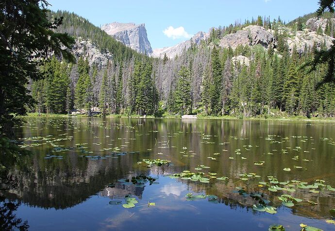Rocky Mountain NP  - Hiacinthe