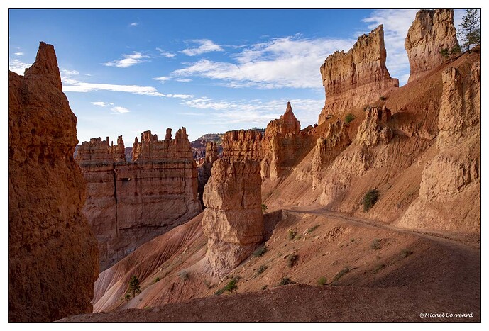 BRYCE (11)