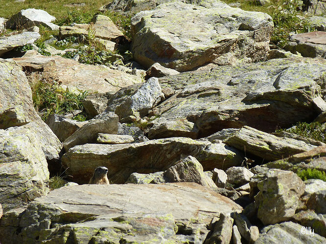 À la découverte du parc national du Mercantour - lespetitsvoyagesdelilly