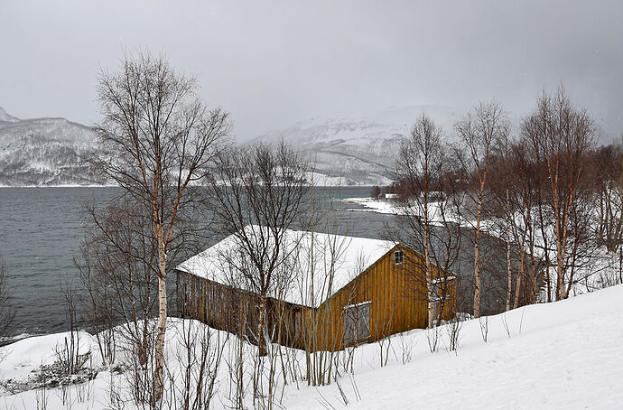 Re: De Tromsø aux îles Lofoten - 11 jours de road trip arctique - sebnella