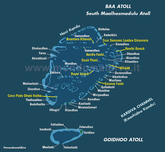 Baa Atoll - Snorkeling - Philomaldives  Guide  Maldives