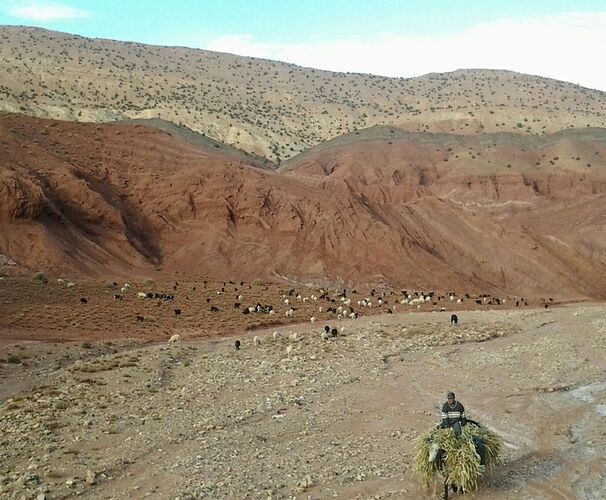 Re: Montagnes,oasis,kasbahs du Maroc  - mimidada