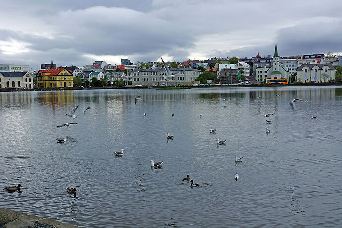 Tour de l'Islande en 18 jours - cartesien