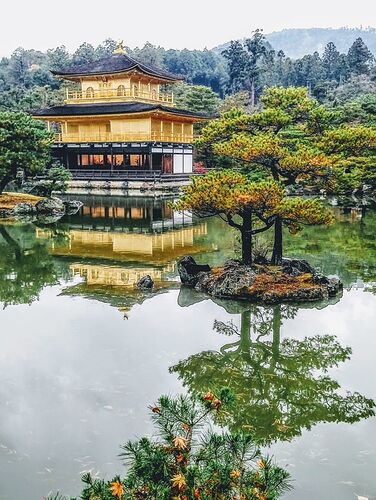 Bilan et conseils après un mois au Japon  - quinqua voyageuse