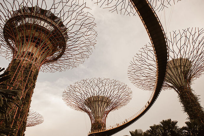 Un week end à Singapour - Frank Ryckewaert