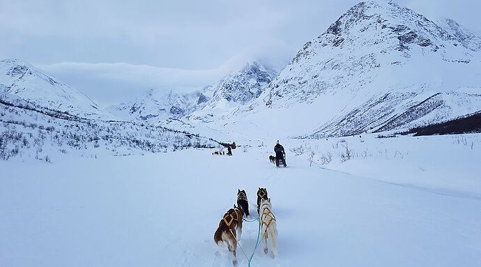 Re: De Tromsø aux îles Lofoten - 11 jours de road trip arctique - sebnella