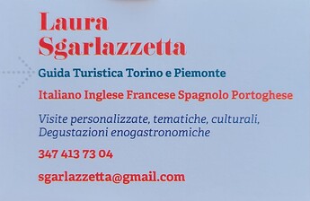Turin - carte de visite guide francophone
