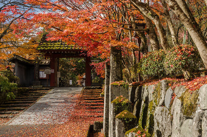 Re: Meilleure période des Momiji à Tokyo et alentours ? - le-souffle-coupe