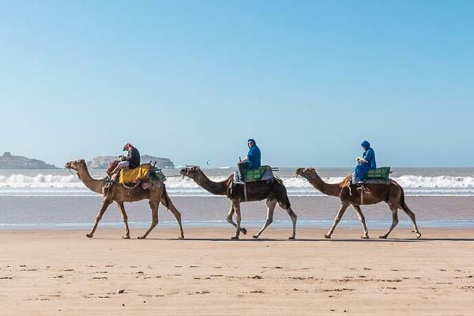 5 jours à Essaouira, une des perles de l'Atlantique, récit et photos - Sonia-Fatima Chaoui