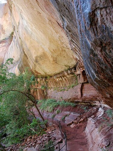 si vous faites une étape à Zion NP - Hiacinthe