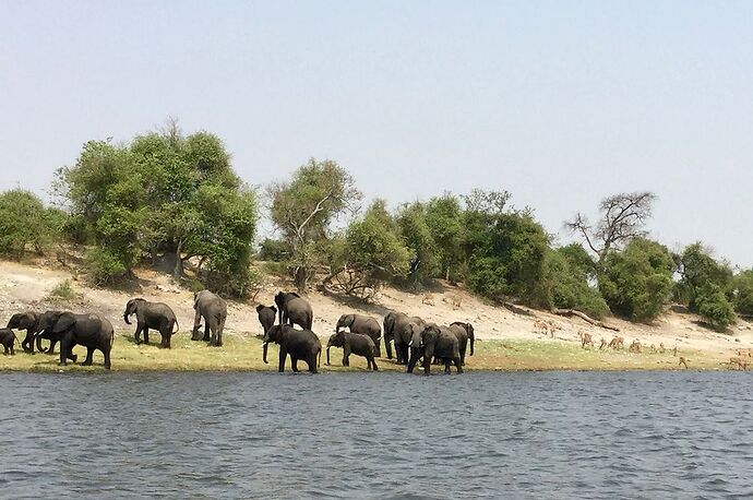 Re: NAMBOTSVIC Namibie- Botswana- Victoria Falls, 3 semaines magiques - PATOUTAILLE