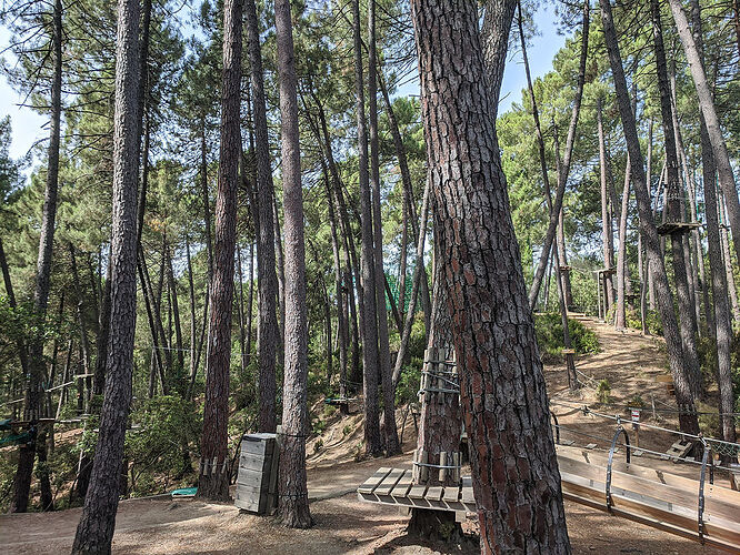 Re: 3 semaines de rêve en Corse - Fecampois