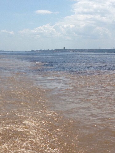 6 jours de voyage entre Tabatinga et Santarem ou une croisiere sur le long fleuve tranquille de l'Amazonie  - Follow the lama