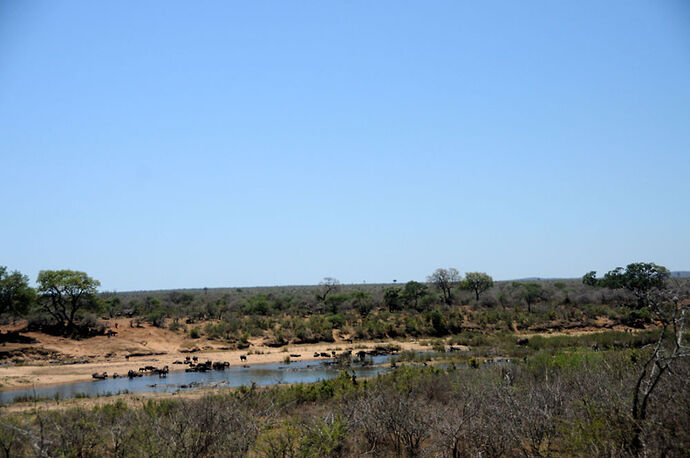 Re: Au paradis ! Compte rendu d'un voyage de 2 petites semaines en Afrique du Sud - L-argonnais Re: Au paradis ! Compte rendu d'un voyage de 2 petites semaines en Afrique du Sud - L-argonnais