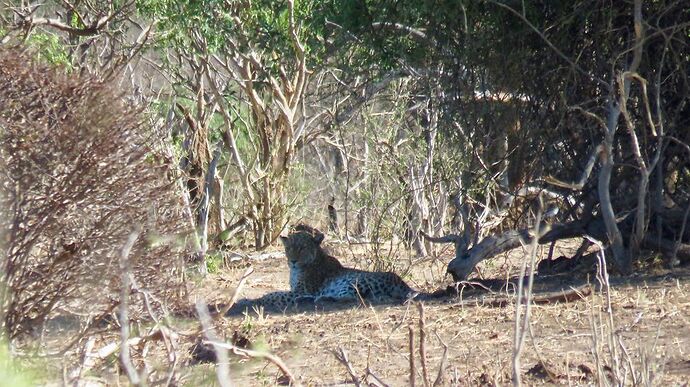 Re: NAMBOTSVIC Namibie- Botswana- Victoria Falls, 3 semaines magiques - PATOUTAILLE